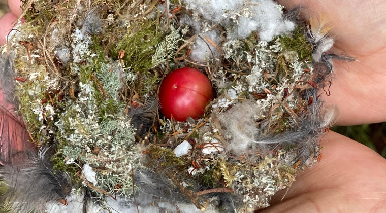 2026 Under the Eagle’s Wing Mentorship Program