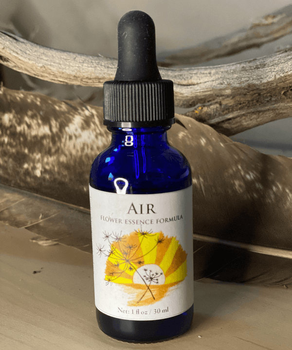 Air Flower Essence 1oz-Flower Essences-shaynecase