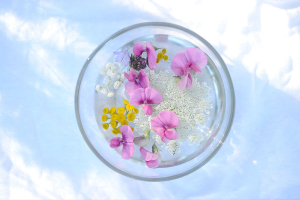 Under the Eagle’s Wing Reciprocity Fund